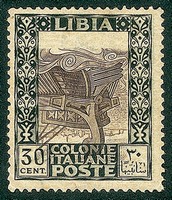 306Colonie - Libia - 1921 - 30 cent Pittorica (27ca) con centro capovolto (spostato in basso)