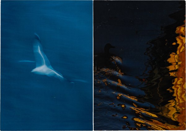 DANILO SUSI - Due stampe fotografiche