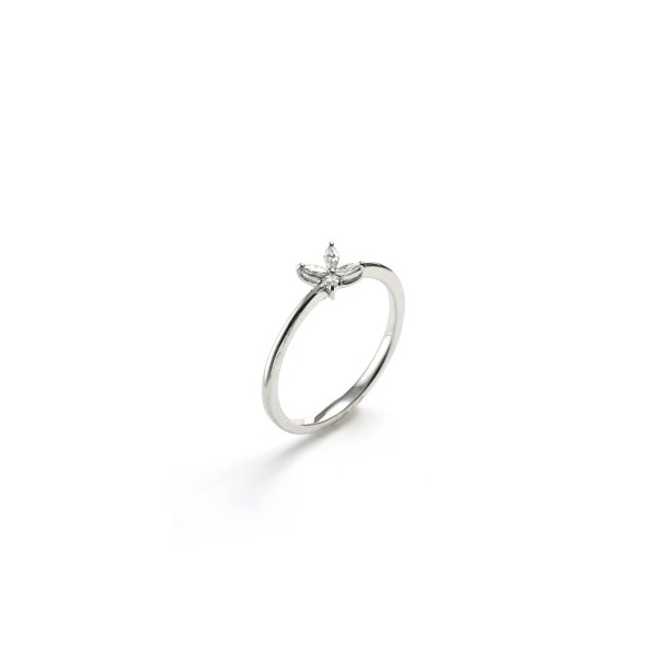 Anello con Diamanti.