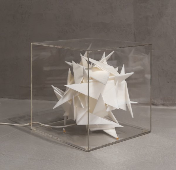 DANIELE STATERA - Stella
