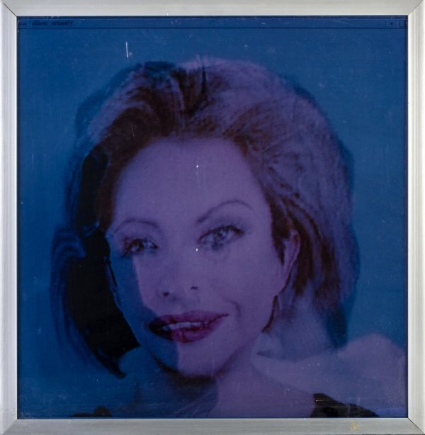 Diane Orlan dalla serie Self-Hybridization