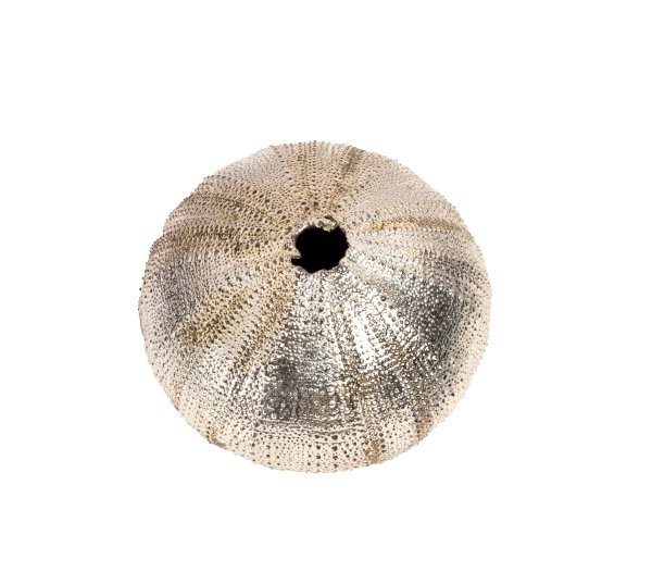 GIOIELLO - Buccellati