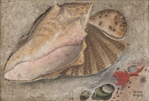 PINETTI SANDRO - Senza titolo (Conchiglia)