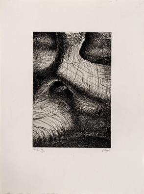 HENRY MOORE - Elephant skull - tavola X