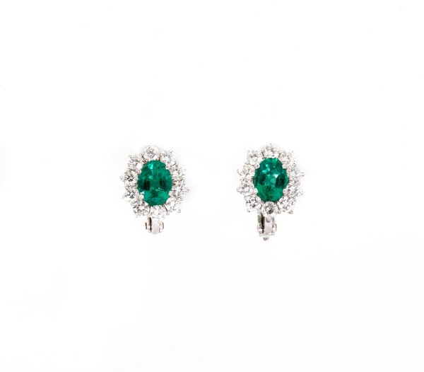 Orecchini in oro bianco 18kt