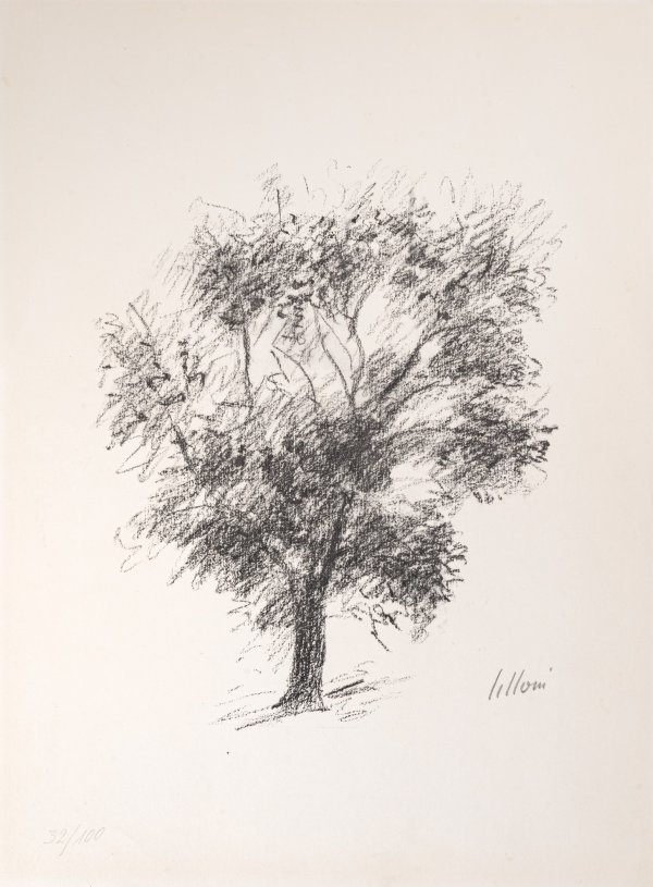UMBERTO LILLONI - Albero