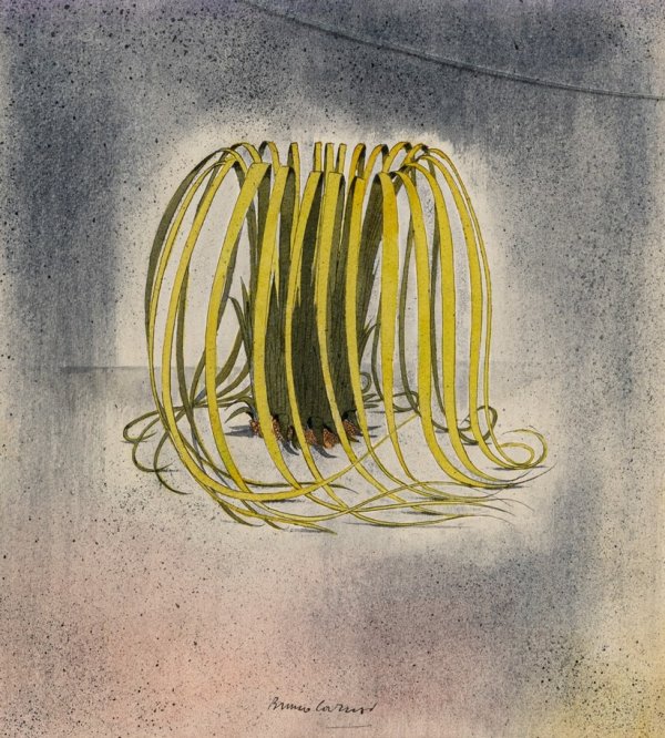 BRUNO CARUSO - Piantina a testa di medusa