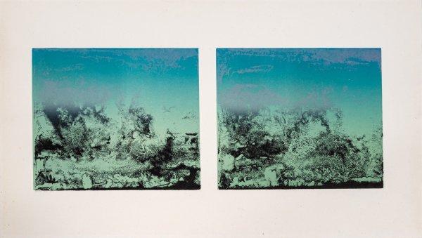 WALTER POZZI - Double #2
