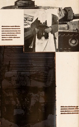 MICHAEL SAILSTORFER - Collage  o  Dunkelbraun