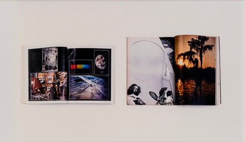 PETER COFFIN - Untitled (Earth, Swamp)