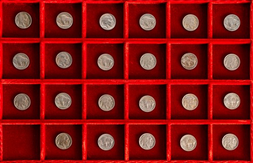 STATI UNITI D'AMERICA - Lotto di 23 5 cent Buffalo, senza ripetizioni.