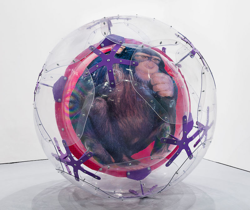 4-U NEW ARTE CONTEMPORANEA