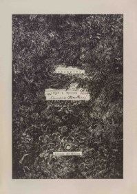 Rosaspina