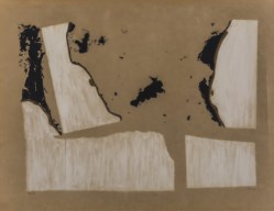 Combustione