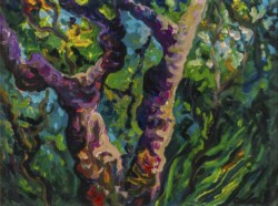 Albero