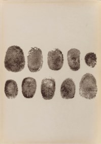 Tavole di accertamento