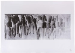 Bandiere della pace