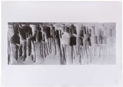 Bandiere della pace