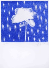 Soltanto blu