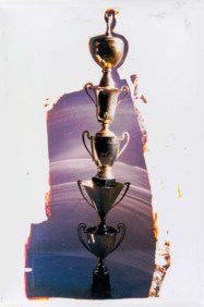 Totem Cups