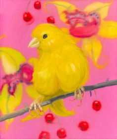 Yello fello small