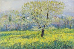 Paesaggio