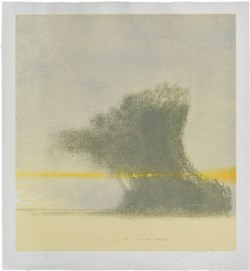 Albero piegato prima del tramonto