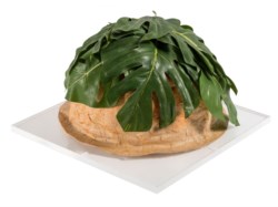 Archimede ecologico