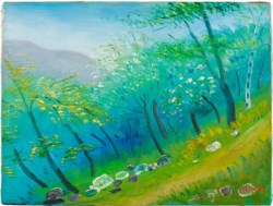 Appennino Parmense