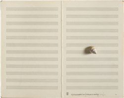 Adagio musicale