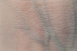 Veins