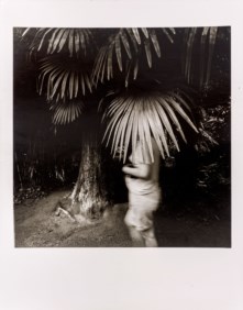 Untitled, from the series Visioni interiori