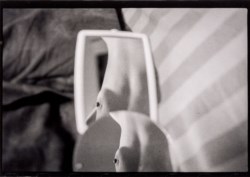 Untitled, from the series Costole