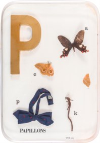 Papillons
