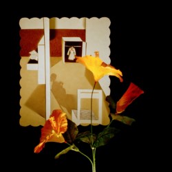 1978 and real flowers