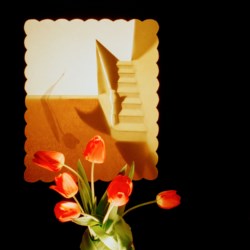 1978 and real flowers