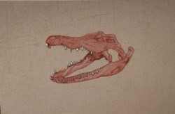 Mausoleo dell'estinzione - Coccodrillo