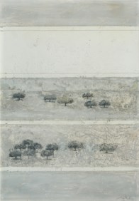Paesaggio