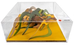 Dinosauri