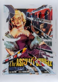 The asphalt jungle