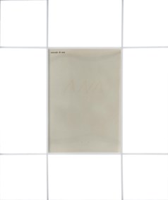 Ana eccetera 4 (manuale di ana)
