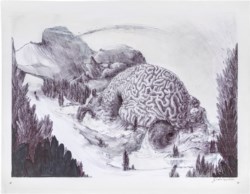 Le terre dei giganti invisibili, pagine 38-39