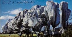 Wrapped trees - Verhullte Baume