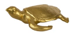 Tartaruga