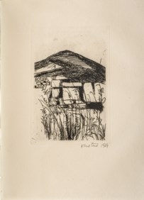 La ginestra