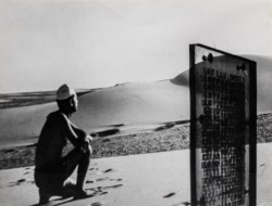 Apocalisse nel deserto