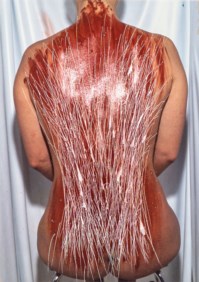 Senza titolo (Action painting)