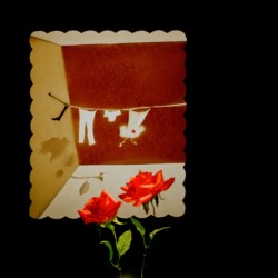 1978 and real flowers