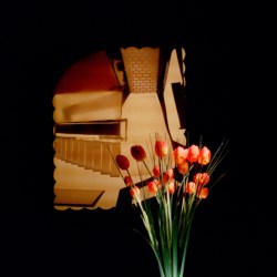 1978 and real flowers