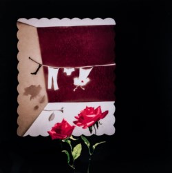 1978 and real flowers